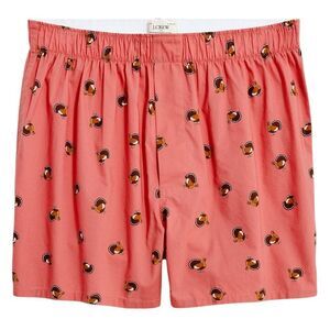 J. Crew Men’s Cotton Poplin Woven Boxer Briefs Turkey Graphic Print